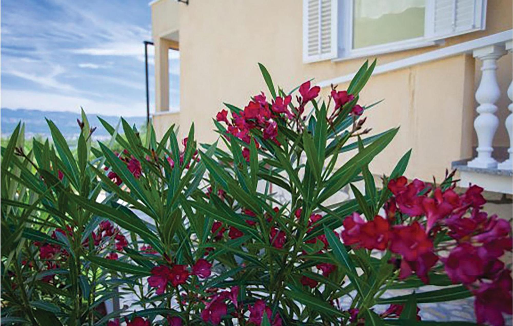 Gorgeous Apartment In Malinska With Kitchen エクステリア 写真